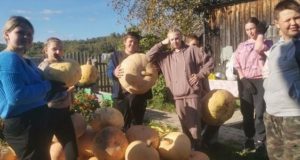 Школьники в Ускуче помогли пенсионерам убрать урожай