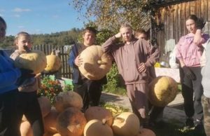 Школьники в Ускуче помогли пенсионерам убрать урожай Школьники в Ускуче помогли пенсионерам убрать урожай