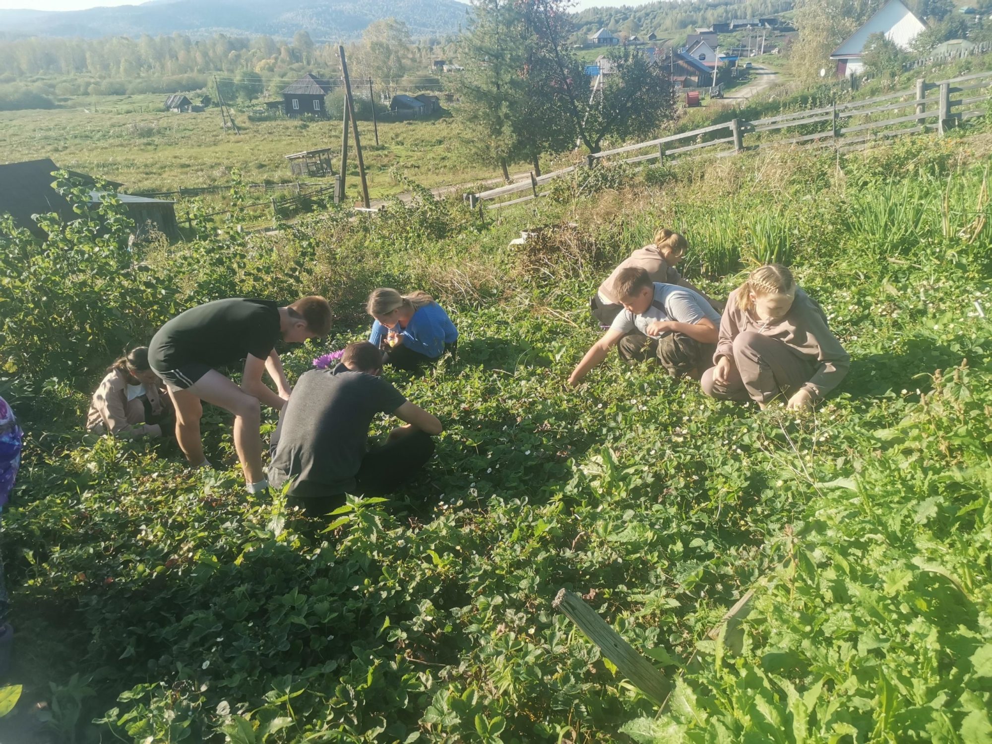Школьники в Ускуче помогли пенсионерам убрать урожай 