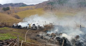 Почти 160 тюков сена сгорело около Камлака