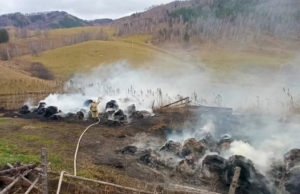 Почти 160 тюков сена сгорело около Камлака Почти 160 тюков сена сгорело около Камлака