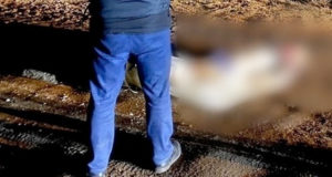 43-летнего мужчину убили в Кызыл-Озеке 43-летнего мужчину убили в Кызыл-Озеке