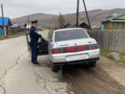 Восемь водителей наказали за разговоры по телефону во время езды На Алтае прошел рейд «Мобильный телефон»