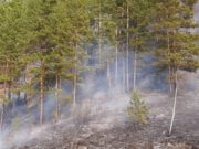 Горный Алтай готовится к новому пожароопасному сезону Горный Алтай готовится к новому пожароопасному сезону