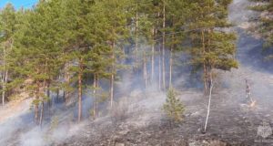 Горный Алтай готовится к новому пожароопасному сезону