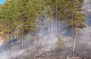Горный Алтай готовится к новому пожароопасному сезону
