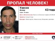 На Семинском перевале ведутся поиски пропавшего на сборе ореха человека
