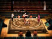Мастер класс по борьбе