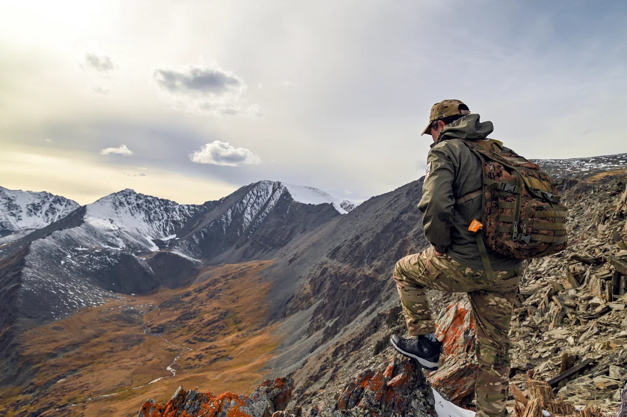 Чабанам на Алтае будут платить за убитый снежными барсами скот 