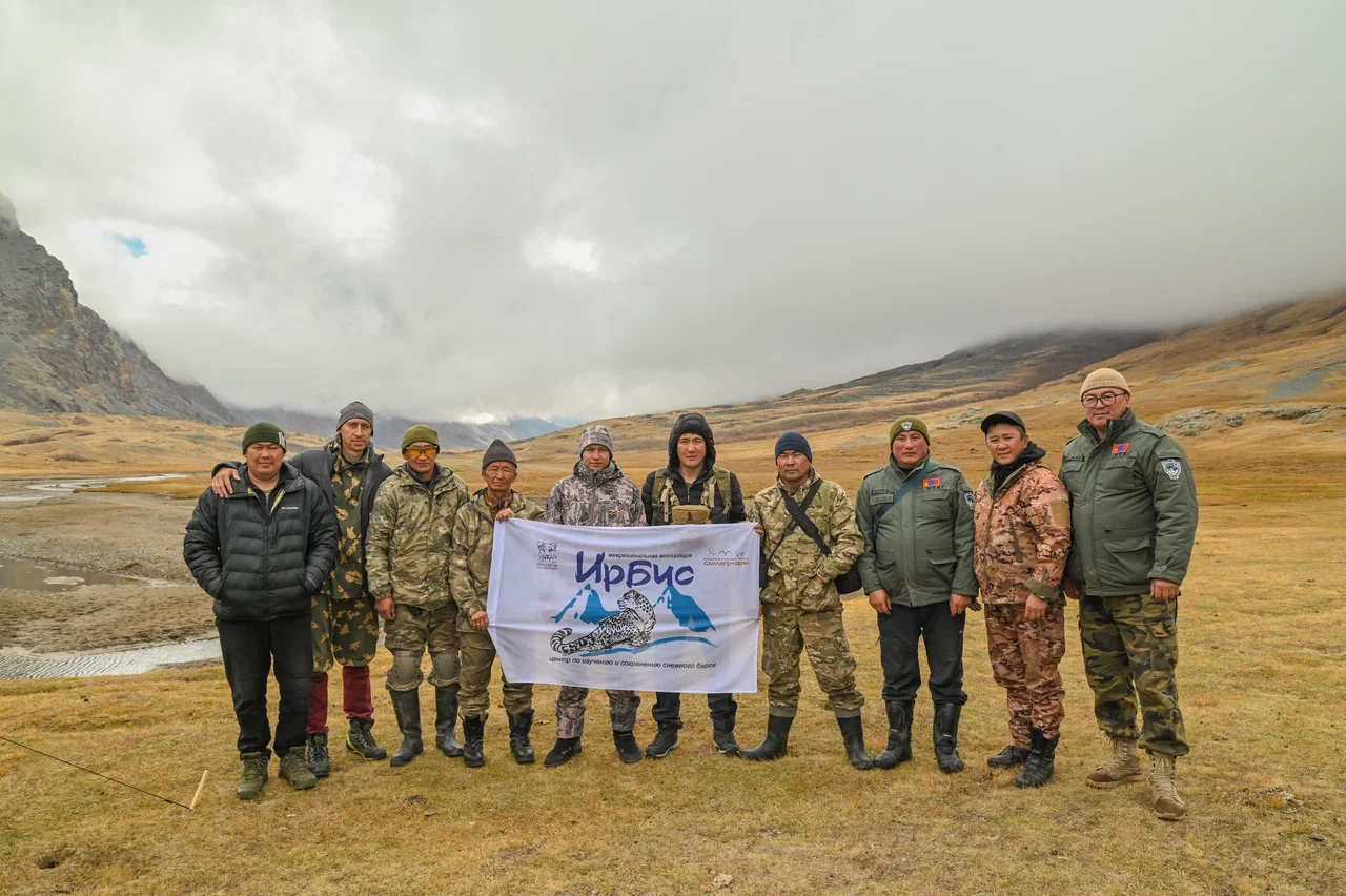 Чабанам на Алтае будут платить за убитый снежными барсами скот 