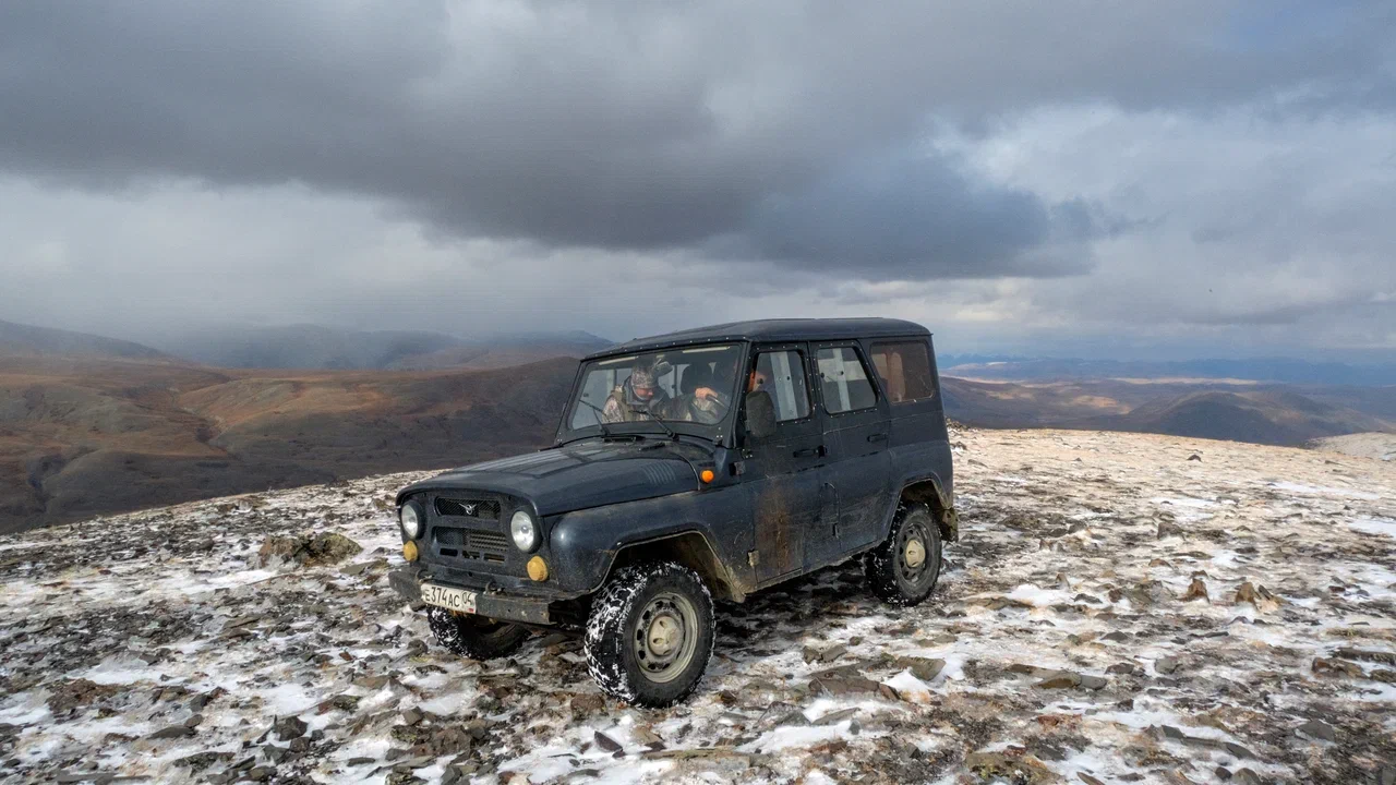 Чабанам на Алтае будут платить за убитый снежными барсами скот 