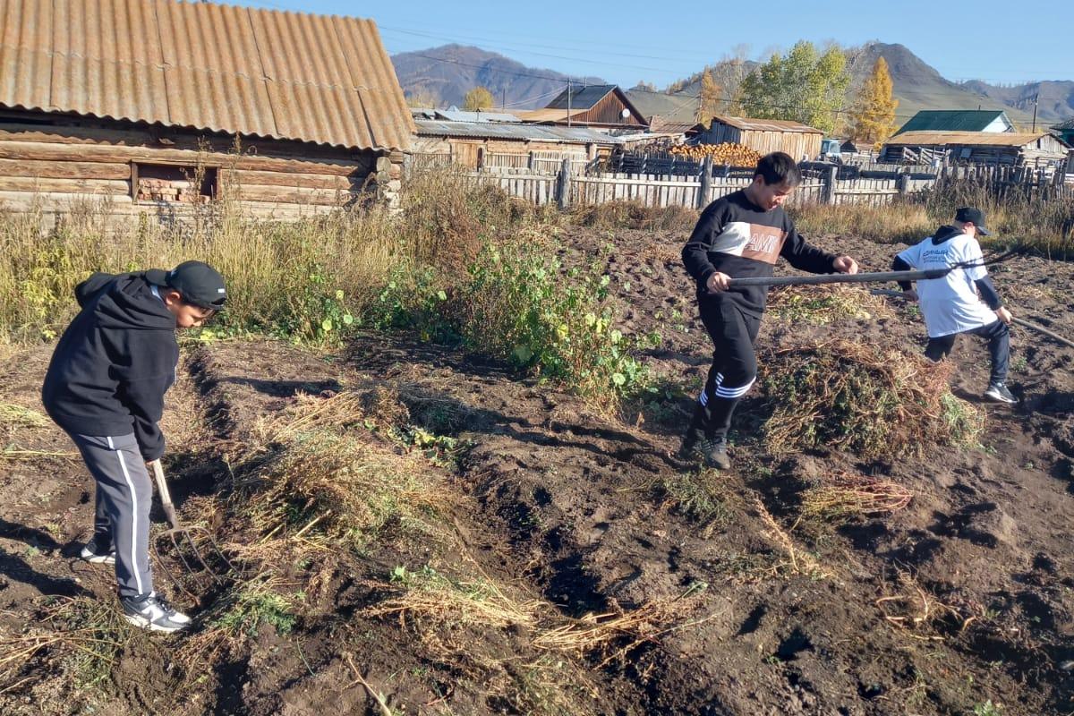 Республика Алтай присоединилась к эстафете добрых дел