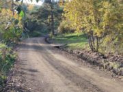 В Горно-Алтайске отремонтировали дорогу по переулку Хребтовому В Горно-Алтайске отремонтировали дорогу по переулку Хребтовому