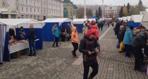 На республиканской ярмарке продали 5,3 тонны мяса На республиканской ярмарке продали 5,3 тонны мяса