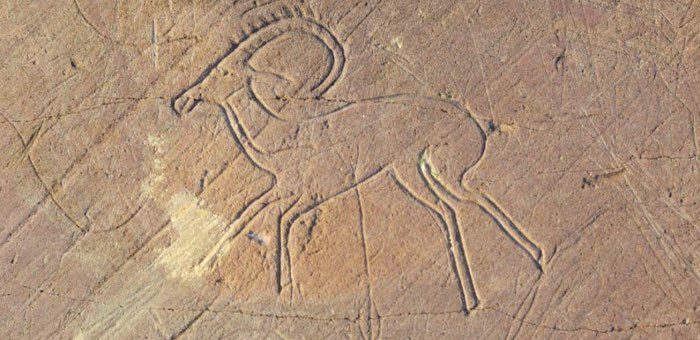 В учебник по истории для пятого класса включат информацию об Алтае