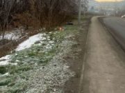 Водитель не справилась с управлением: «Хонда» съехала с дороги после заноса Автоледи не справилась с управлением: «Хонда» съехала с дороги после заноса