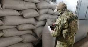 Бийчанин не смог избежать наказания за незаконное хранение 8 тонн «золотого корня» Бийчанин не смог избежать наказания на незаконное хранение 8 тонн «золотого корня»