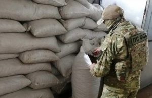 Бийчанин не смог избежать наказания на незаконное хранение 8 тонн «золотого корня»