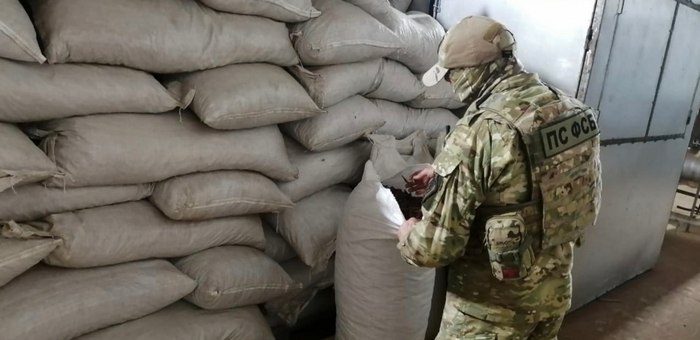 Бийчанин не смог избежать наказания за незаконное хранение 8 тонн «золотого корня»