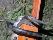 «Елочных» браконьеров задержали в Турочакском районе «Елочных» браконьеров задержали в Турочакском районе