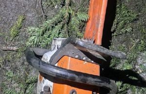 «Елочных» браконьеров задержали в Турочакском районе «Елочных» браконьеров задержали в Турочакском районе