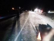 В Онгудайском районе Toyota насмерть сбила пожилого пешехода