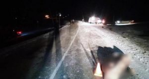 В Онгудайском районе Toyota насмерть сбила пожилого пешехода