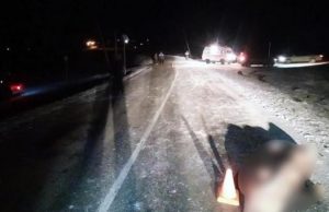 В Онгудайском районе Toyota насмерть сбила пожилого пешехода