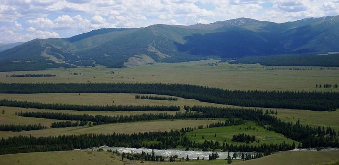 Туристов-иностранцев задержали в Кош-Агачском районе