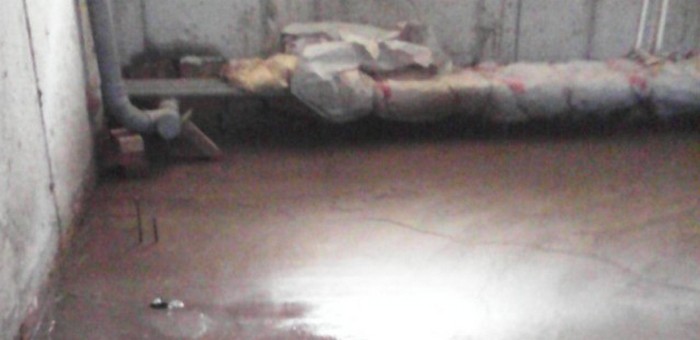 Управляющую компанию наказали за нечистоты в подвале дома в Майме