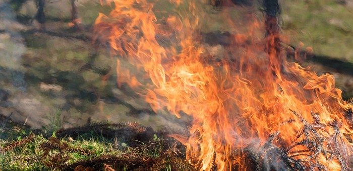 На Алтае завершился пожароопасный сезон