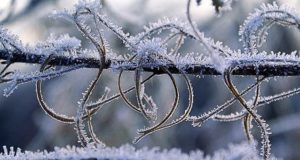 Аномальные морозы сохраняются на Алтае: объявлено штормовое предупреждение
