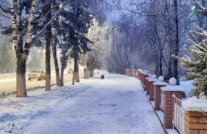 К концу недели морозы немного ослабнут