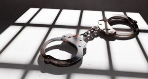 Горожанин забрался на кухню кафе «Ролл Н Ролл» и утащил сумочку