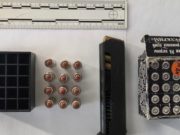 На границе с Монголией поймали забывчивого водителя с шестнадцатью патронами