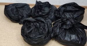 Гражданин Казахстана пытался незаконно ввезти на Алтай 70 кг мумие Гражданин Казахстана пытался незаконно ввезти на Алтай 70 кг мумие