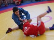 Республиканский турнир по самбо памяти Алексея Ялбакова прошел в Усть-Кане