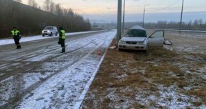 Возле Карлушки иномарка съехала с дороги и врезалась в опору ЛЭП