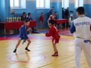 В Кош-Агаче прошел турнир по самбо на призы Героя России Данияра Джартанова