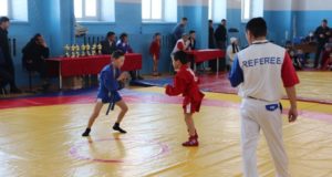 В Кош-Агаче прошел турнир по самбо на призы Героя России Данияра Джартанова