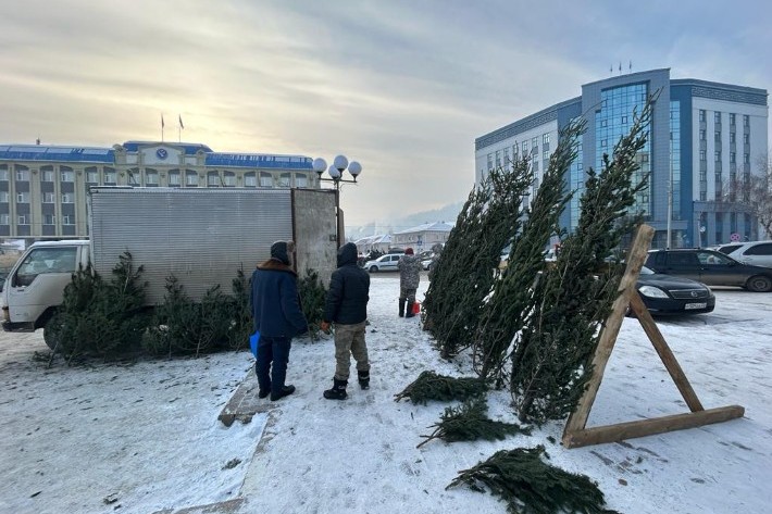 На Алтае подвели итоги предновогодней ярмарки 