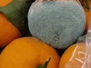 Испорченные фрукты убрали с полок в сетевом магазине Испорченные фрукты убрали с полок в сетевом магазине