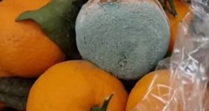 Испорченные фрукты убрали с полок в сетевом магазине