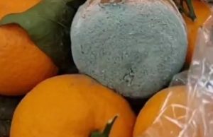 Испорченные фрукты убрали с полок в сетевом магазине Испорченные фрукты убрали с полок в сетевом магазине