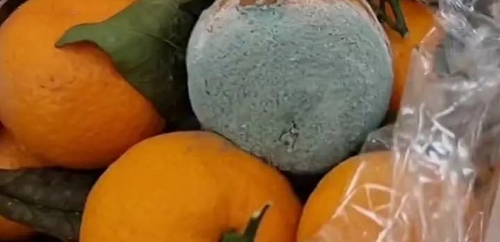 Испорченные фрукты убрали с полок в сетевом магазине