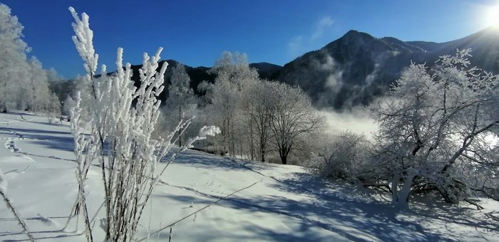 Красивое природное явление заметили на Телецком озере