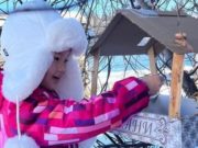 В Усть-Коксинском районе проходит акция «Помоги зимующим птицам» В Усть-Коксинском районе проходит акция «Помоги зимующим птицам»