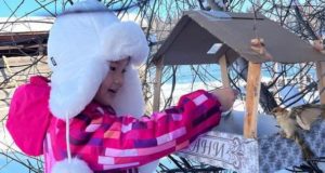 В Усть-Коксинском районе проходит акция «Помоги зимующим птицам»