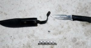 В Чемале возбуждено уголовное дело о нападении на полицейского В Чемале возбуждено уголовное дело о нападении на полицейского