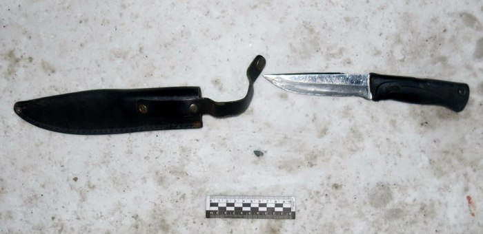 В Чемале возбуждено уголовное дело о нападении на полицейского